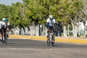 G3976562