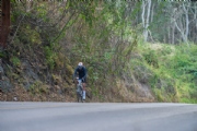 B3986991