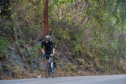 C3987852