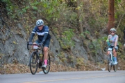 F3986817