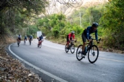 B3979516