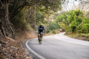 J3977984
