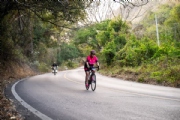K3980074