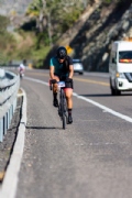W3978612