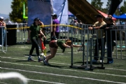 W3988672