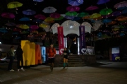 D3989096