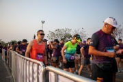 A3991637