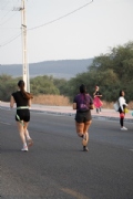 D3991731