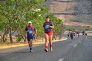 O3989334