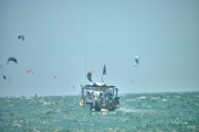 G3995733