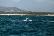 V3992534