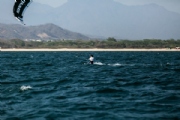 W3992568