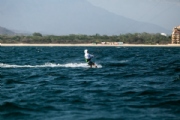 W3992637