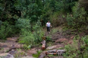 T3998150