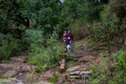 V3998191