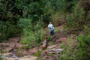 Y3997772