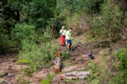 Z3997791