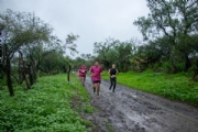 J4005950