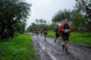 P4005445