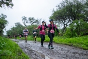 P4006263