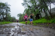 V4005424
