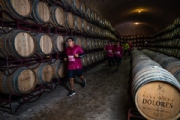 P4010933