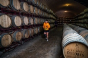 V4011963