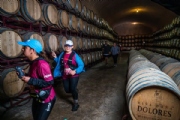 V4014136