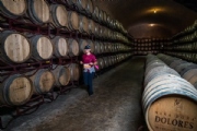 Y4011643