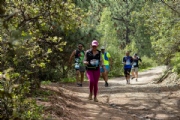C4041258