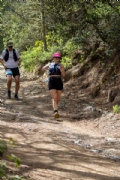 D4041017