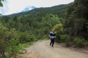 G4054911