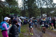 A4053363