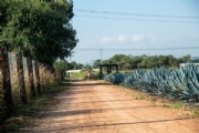 D4061260
