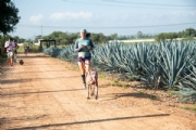 H4061448