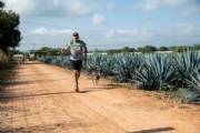 U4061528