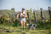 Q4061132
