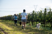 U4060580