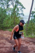 M4066891