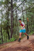 Q4067394