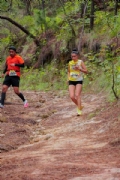 V4065950