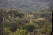 B4070041