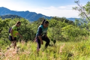 D4079733