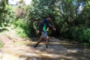 T4079637