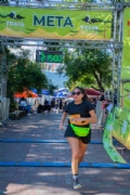G4078482