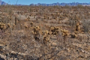 V4087975