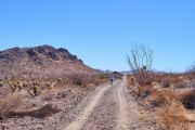 Y4087913