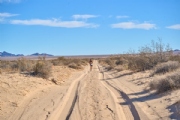 C4086695