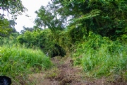 H4080526