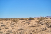 L4086998